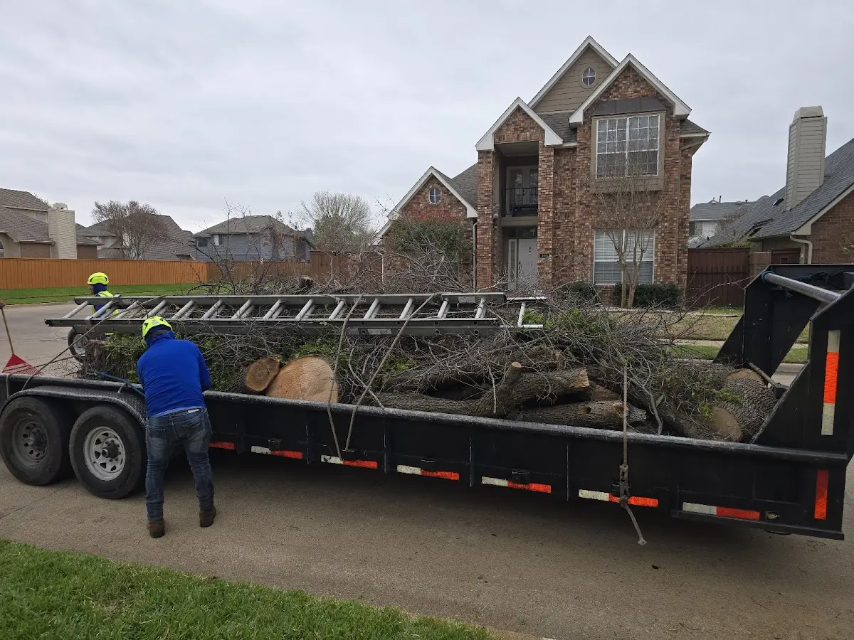 Expert Tree Removal with proper safety equipment in Fairbanks